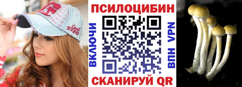 Купить где  Лесозаводск  Галлюциногенные грибы GOLDEN TEACHER 